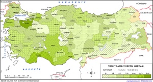 Türkiye Ayva Üretim Haritası 2019