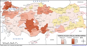 Türkiye Ayçiçek Üretim Haritası 2019