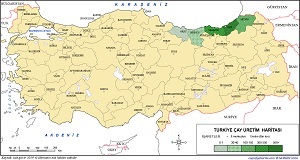 Türkiye Çay Üretim Haritası (2019)