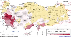Türkiye Çekirdeksiz Üzüm Üretim Haritası 2019
