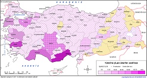 Türkiye Çilek Üretim Haritası 2019