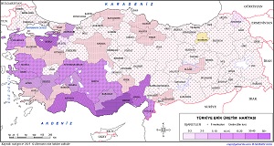 Türkiye Erik Üretim Haritası 2019