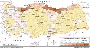 Türkiye Fındık Üretim Haritası 2019