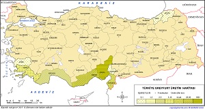 Türkiye Greyfurt Üretim Haritası 2019
