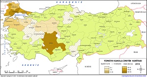 Türkiye Kanola Üretim Haritası 2019