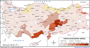 Türkiye Kayısı Üretim Haritası 2019