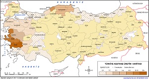 Türkiye Kestane Üretim Haritası 2019