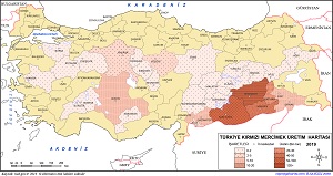 Türkiye Kırmızı Mercimek Üretim Haritası 2019