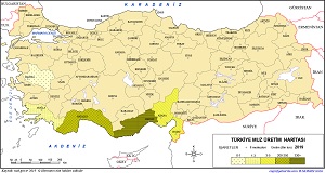 Türkiye Muz Üretim Haritası 2019