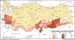 Türkiye Pamuk Lifi Üretim Haritası 2019