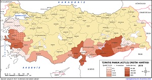 Türkiye Pamuk Üretim Haritası 2019