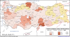 Türkiye Sarımsak Üretim Haritası 2019