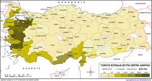 Türkiye Sofralık Zeytin Haritası 2019