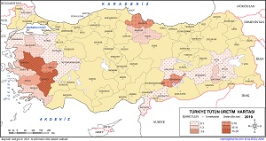 Türkiye Tütün Üretim Haritası 2019