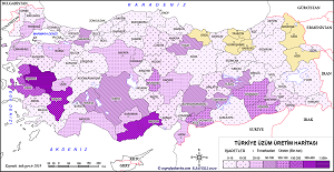 Türkiye Üzüm Haritası 2019