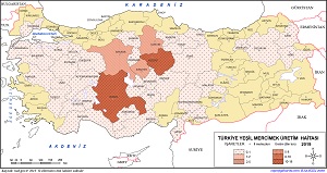 Türkiye Yeşil Mercimek Üretim Haritası 2019