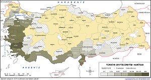 Türkiye Zeytin Üretim Haritası 2019