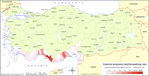 Türkiye Avokado Üretim Haritası 2019