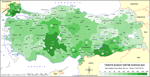 Türkiye Buğday Üretim Haritası 2021
