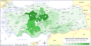 Türkiye Nohut Haritası