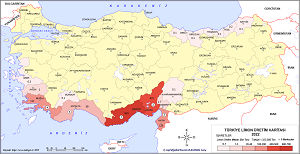 Türkiye Limon Üretim Haritası 2022