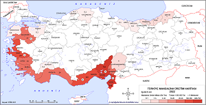 Türkiye Mandalina Üretim Haritası 2022