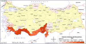 Türkiye Portakal Üretim Haritası 2022