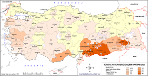 Türkiye Antep Fıstığı Haritası 2023