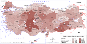 Türkiye Buğday Üretim Haritası 2023