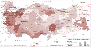 Türkiye Ceviz Üretim Haritası 2023