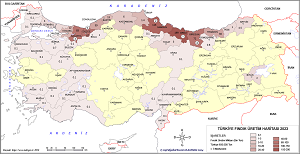 Türkiye Fındık Haritası 2023