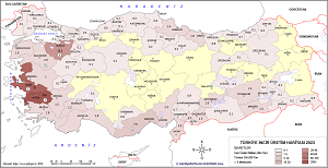 Türkiye İncir Haritası 2023
