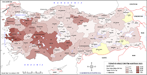 Türkiye Kiraz Haritası 2023