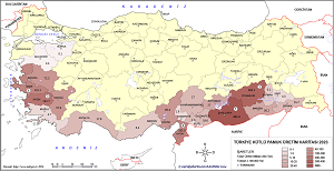 Türkiye Kütlü Pamuk Haritası