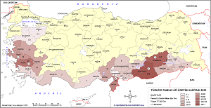 Türkiye Pamuk Lifi Üretim Haritası 2023
