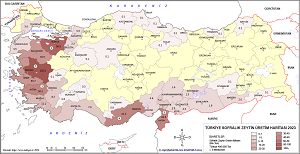 Türkiye Sofralık Zeytin Haritası 2023