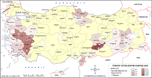 Türkiye Tütün Haritası 2023