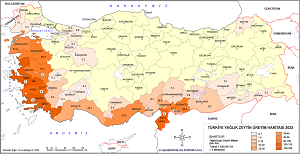 Türkiye Yağlık Zeytin Haritası 2023