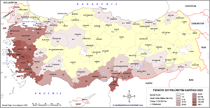 Türkiye Zeytin Haritası 2023