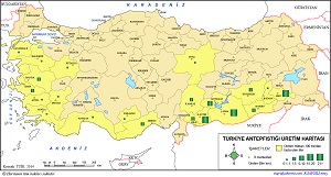 Türkiye Antepfıstığı Üretim Haritası
