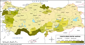 Türkiye Biber Üretim Haritası (2017)