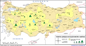 Türkiye Ayçiçeği (Çerezlik) Üretim Haritası (2015)