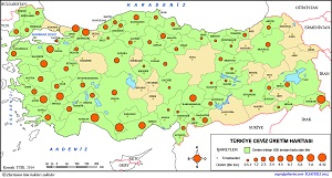 Türkiye Ceviz Üretim Haritası