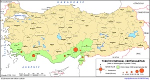 Türkiye Portakal (Diğer) Üretim Haritası 