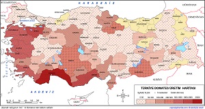Türkiye Domates Üretim Haritası (2017)