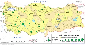 Türkiye Elma Üretim Haritası