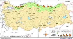 Türkiye Fındık Üretim Haritası 2015