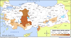Türkiye Havuç Üretim Haritası (2015)