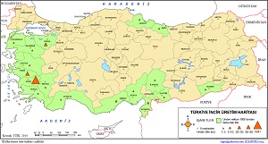 Türkiye İncir Üretim Haritası 2014