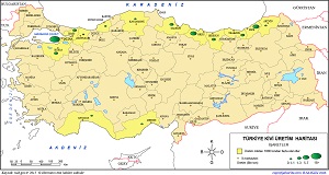 Türkiye Kivi Üretim Haritası (2015)